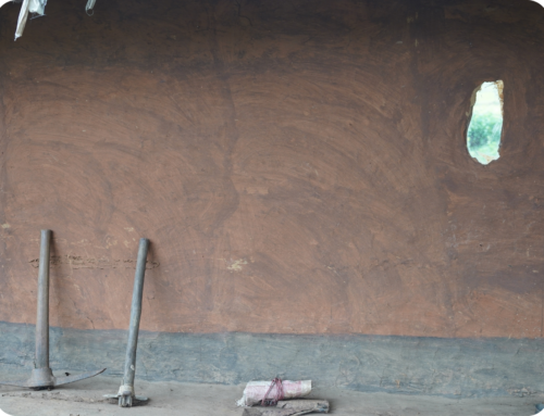 Sustainable Practices