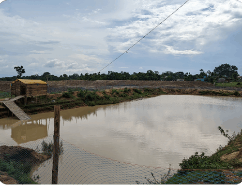 Knowledge & Communication