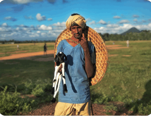 Long-Term Partnership Planning